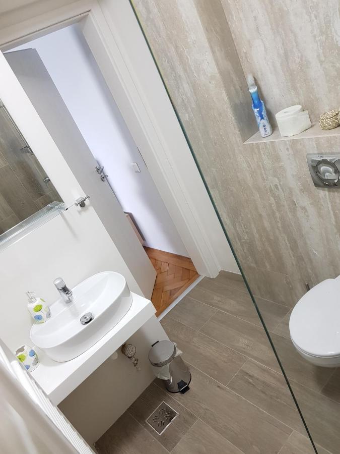 Cluj Central Square 2 Rooms Apartment Dış mekan fotoğraf